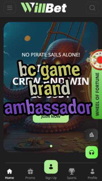BC Game Brand Ambassador - Sponsorship Info-vz72fvrf.com